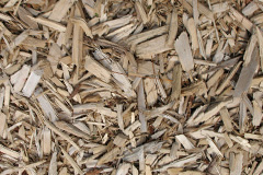 biomass boilers Troan