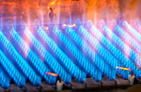 Troan gas fired boilers